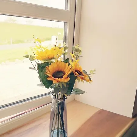 Cosy 2 Bedroom بيت للعطل *