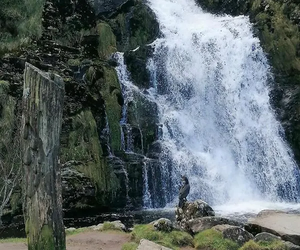 Cosy 2 Bedroom * Laconnell